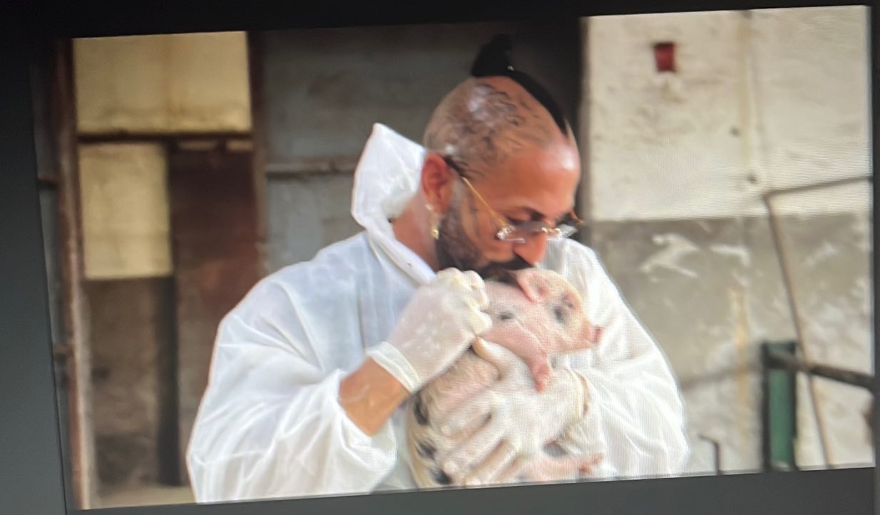 Agozzino Alfredo n. 1648 nella classifica Instagram ITA